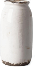 White Ceramic Vase 10 Inch Rustic Farmhouse Crackle Glaze Pampas Grass Decor picture