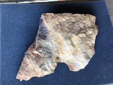 Dendritic Sandstone - Diablo Range, CA - Unclassified with additional patterns picture