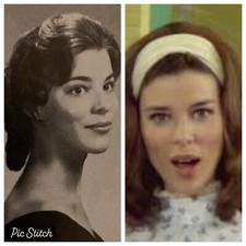 Emmy Jo Peden High School Yearbook Senior Year W/ Spring Insert New Zoo Revue picture