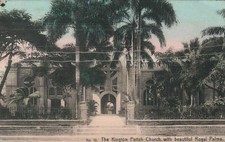 1913 ANTIQUE Kingston Parish Church & Palms POSTCARD - from Jamaica to Rose Bay picture