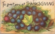 VNT POSTCARD-TO GREET YOU AT THANKSGIVING-GRAPES picture