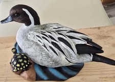 HANDPAINTED DUCK (PINTAIL) 5