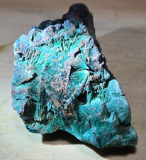 RARE GORGEOUS Raw Silky & Fibrous Malachite Specimen ~2.5x1.25in O53 picture