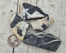 Natural High Grade White Buffalo  Turquoise   picture