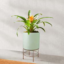 Mainstays 10 in Dia Green Ceramic Planter with Gold Stand picture