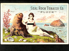 RARE - San Francisco Seal Rock Tobacco Trade Card Pluck Mermaid H. Bohls CA j.US picture