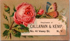 Callanan Kemp NYC English Breakfast Coffee Butterfly Flower New York IPV1 picture