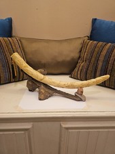 Martha Carey The Herd: Tusk of a Hundred #3229 Limited Edition 711/1500 picture