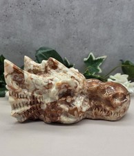 Amber Calcite Dragon Head Skull Hand Carved Stone 2 lb 13 oz Fantasy Decor picture