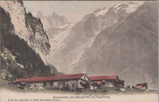 Herrenrütti Und Spannnörfer Bei Engelberg 1900s Swiss Alps Postcard picture