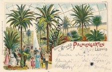 Historical Postcard - Greetings from Leipzig Palmengarten 1899 Litho X104 picture