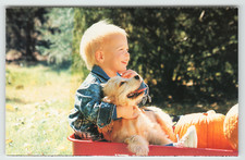 Postcard Young Boy and His Dog in a Wagon with Pumpkins picture
