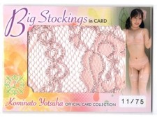 Yotsuha Kominato Jyutoku CJ117 Big Stocking Card 11/75 Japanese AV Idol JAV picture