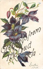 J7/ McLoud Oklahoma Postcard c1910 Greetings from McLoud 213 picture