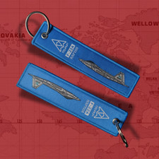 Ace Combat, ISAF mobius, F-22, aircraft FLIGHT military fighter REMOVE keychain picture