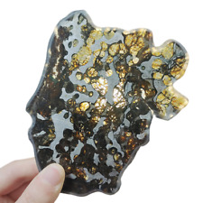 88g  Brenham pallasite Meteorite slice - from usa QA74 picture