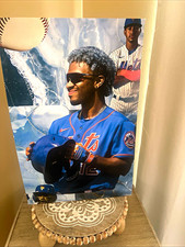 Francisco Lindor Framed Color New York Mets Player Baseball Wood Frame Portrait  picture