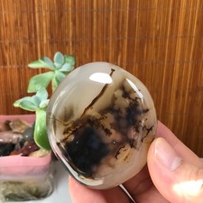 65-59-27mm Natural aquatic plants agate pretty Crystal specimens 147g A1880 picture