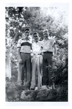 1950s Three Young Men Friends Hanging Out Gay int  Vintage Photo picture