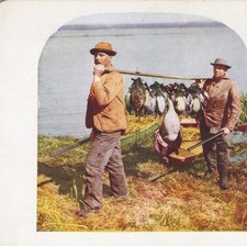 1898 StereoView Card Black Dog Lake Duck Hunting T W Ingersoll picture