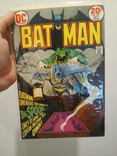 Batman #252 (DC Comics October 1973) picture