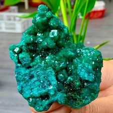 189G Natural green dioptase emerandine gemstone cluster mineral specimen Crystal picture