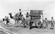 Camel cart India 1916-1917 Historic Old Photo picture