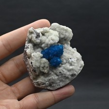 Big rosette of Cavansite on matrix  (non precious natural stone) # 4691 picture