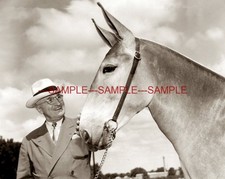 President HARRY S TRUMAN & The Missouri Mule PHOTO (154-v ) picture