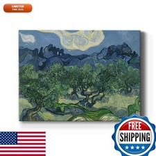 Renditions Gallery Olive Trees by Vincent Van Gogh Canvas Print 36x48 in Ready picture