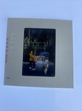 Vtg Ice Skating Frozen Lake 35mm Slide Photo Americana Jan 1960 Dog picture