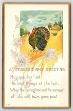 Thanksgiving~Fat Turkey In Field~Mums~Home~Gold Edge~Emboss~Vintage Postcard picture