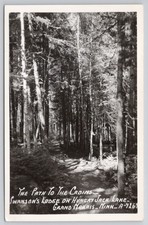 RPPC Swanson's Lodge Hungry Jack Lake Grand Marais, MN Forest Path picture