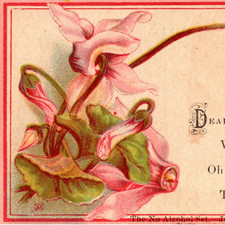 1884 Temperance Movement Abolitionist Alcohol Victorian Era Trade Card E S Grant picture