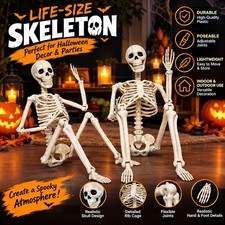 2 Pack Halloween Skeleton 40cm/15.7