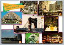 Cincinnati Ohio Multiview Skyline Westin Hotel Suspension Bridge Vtg Postcard C5 picture