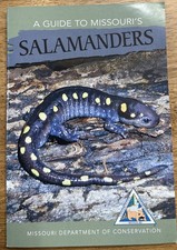 A Guide To Missouri’s Salamanders - Missouri Department Of Conservation 2023 picture