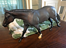 Breyer Constellation Mid-States Exclusive Special Run 2012 Roxy Mold VGC picture