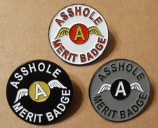 (3) A*SHOLE MERIT BADGES Lapel Pin a*s hole A wings hat pinback White Black Gray picture