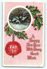 A Happy New Year Jan 1st Seal Winter Cottage Scene Mistletoe Pink Postcard E5 picture