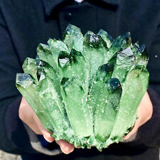 2.4LB New Find green Phantom Quartz Crystal Cluster Mineral Specimen Healing. picture