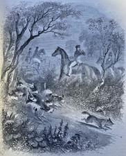 1856 Horses Through the Ages Horseback Riding illustrated picture