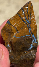640cts Australian Boulder Opal Rough Natural Lapidary Cutting picture