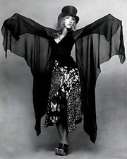 Stevie Nicks 8 x 10 Photograph Art Print Photo Picture picture