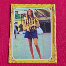 Natalie Wood 1977 Mis Favoritos #110 Hollywood Movie Star Trading Card picture