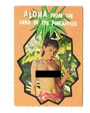 Aloha from the Land of the Pineapples Polynesian Beauty Hawaii VTG postcard UNP picture
