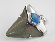 Fossil Shark Tooth Pendant – Carcharocles megalodon w Silver Cap and Opal Accent picture