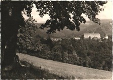 Schwarzburg Germany Thuringia View of Castle RPPC Real Photo Postcard 1961 picture