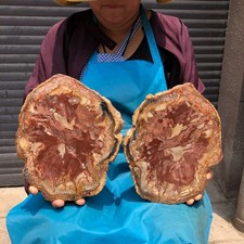 2pcs 6.84LB Natural Petrified Wood Crystal Fossil Slice Shape Specimen Healing picture
