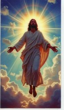 Jesus, Help Me A - Laminated Holy Cards 25 CARDS picture